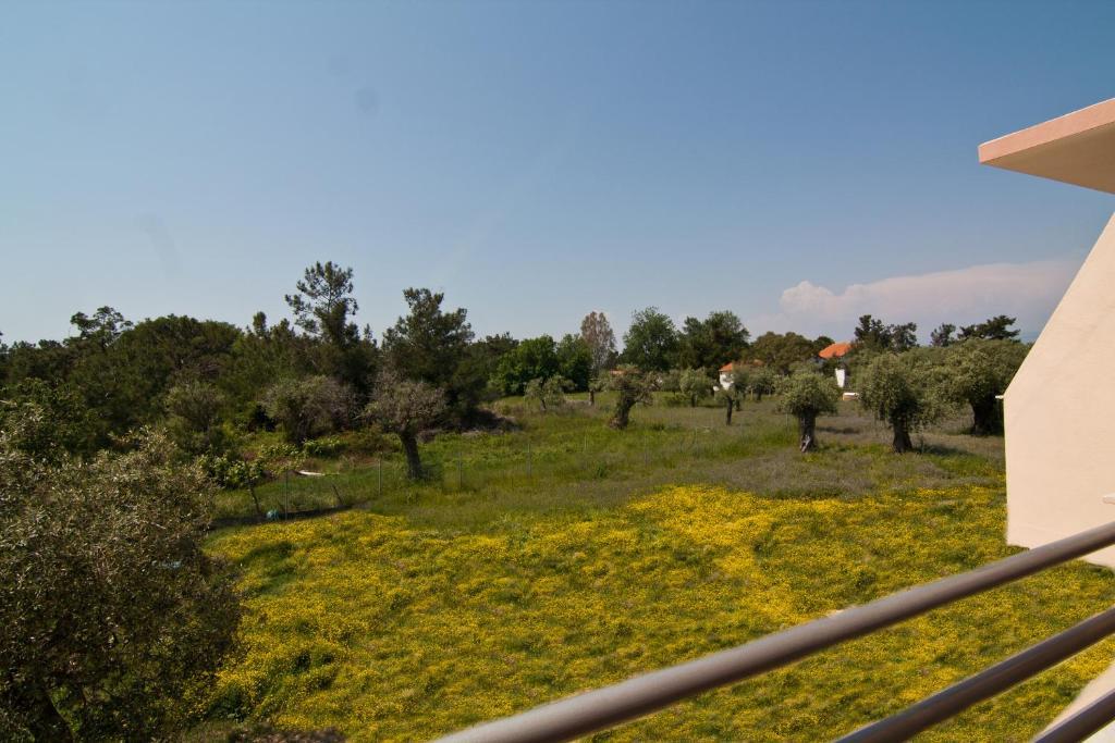 Studios Dimitraki Skala Rachoni  Cameră foto
